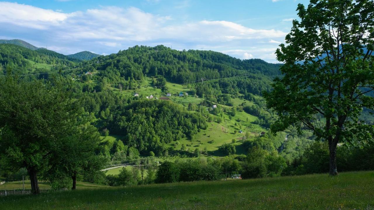 Fern Farm Eco Resort Mojkovac Eksteriør billede