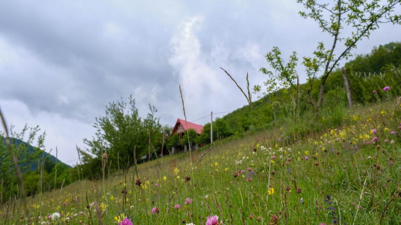 Fern Farm Eco Resort Mojkovac Eksteriør billede