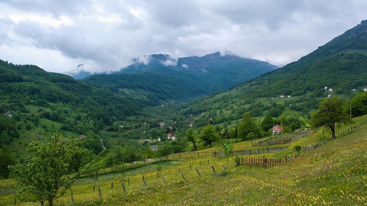 Fern Farm Eco Resort Mojkovac Eksteriør billede