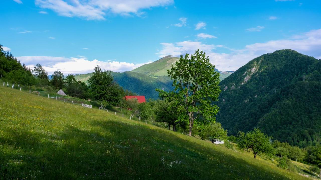 Fern Farm Eco Resort Mojkovac Eksteriør billede