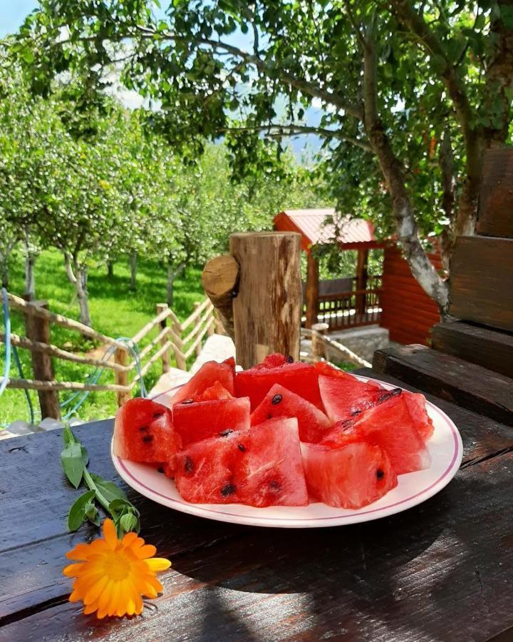 Fern Farm Eco Resort Mojkovac Eksteriør billede