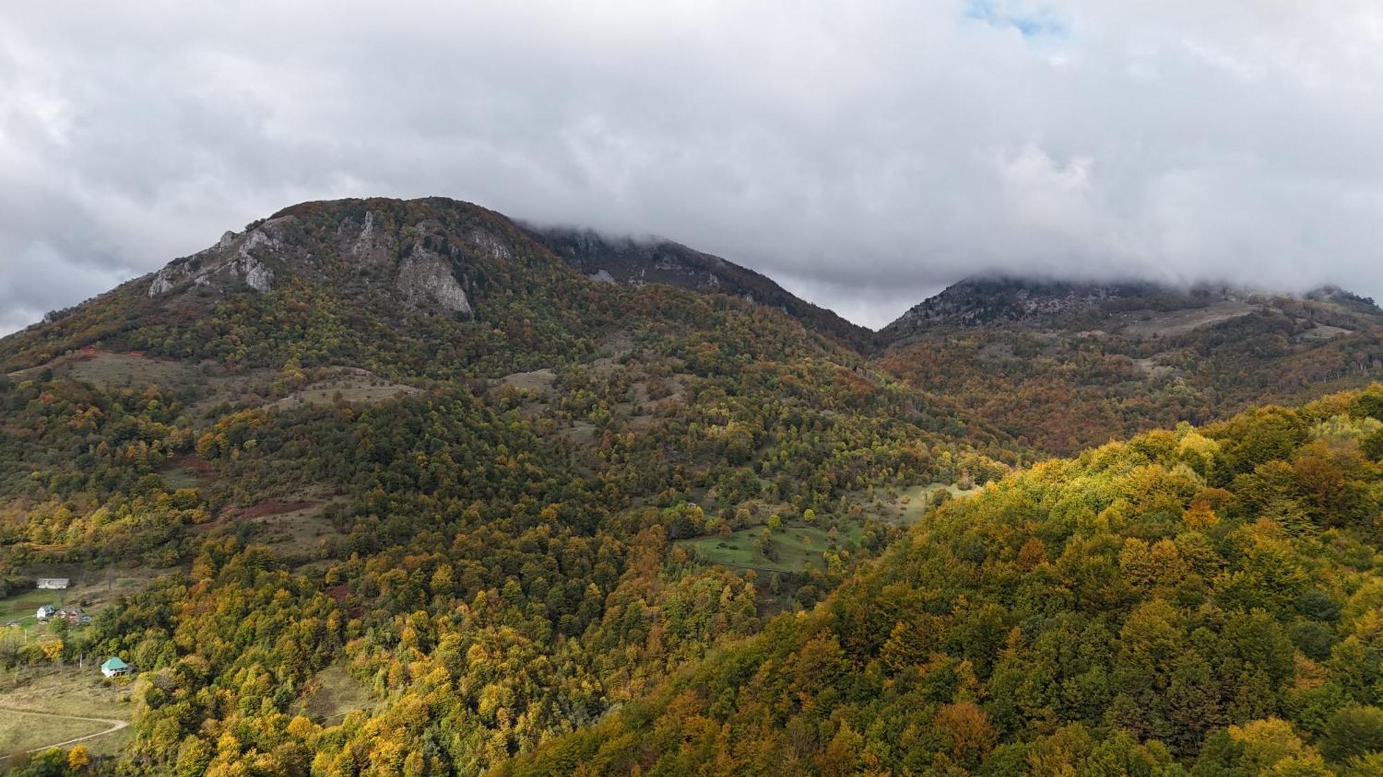 Fern Farm Eco Resort Mojkovac Eksteriør billede