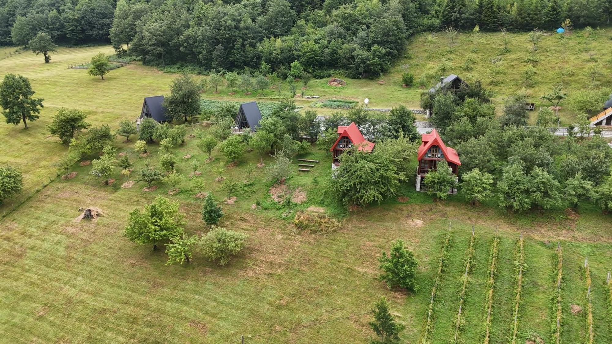 Fern Farm Eco Resort Mojkovac Eksteriør billede
